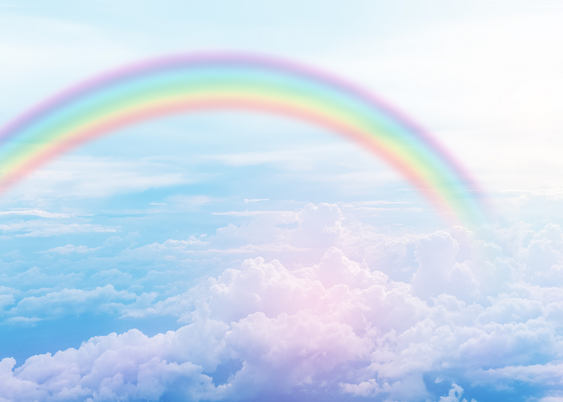 Memorial Dog Keepsakes: Cherishing the Memory of Your Beloved Companion