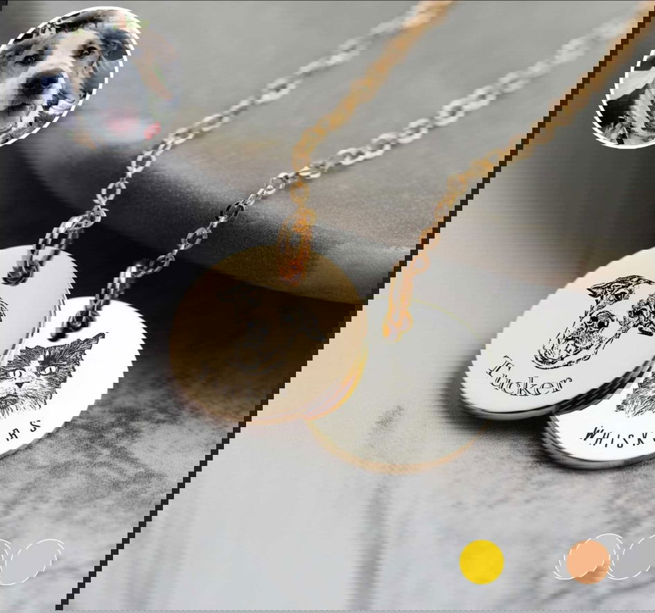 Custom Pet Necklace Custom Dog Necklace Custom Cat Necklace Wags and Willows