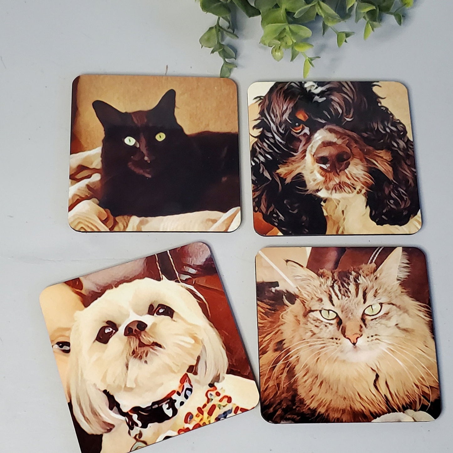 Custom Pet Photo coasters, Dog coasters, Cat coasters, Pet Portrait coasters, gift for dog mom, gift for dog dad - Wags and Willows
