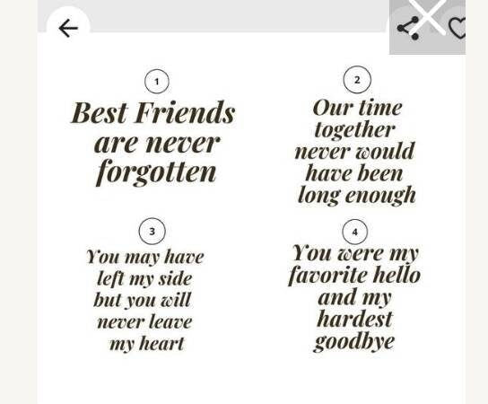 Custom urn for dog, Custom urn for cat - Wags and Willows