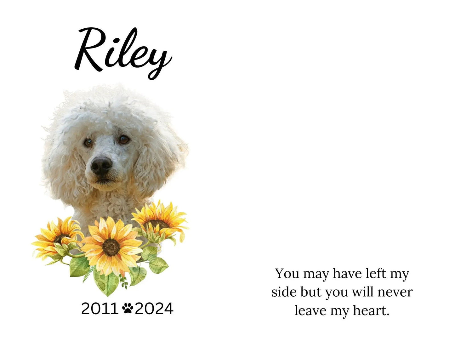 Dog Collar Memorial Frame, Pet Memorial frame, Dog Memorial gift - Wags and Willows