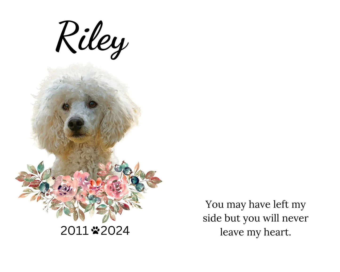 Dog Collar Memorial Frame, Pet Memorial frame, Dog Memorial gift - Wags and Willows