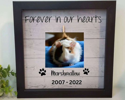 Guinea Pig Memorial Frame - Wags and Willows