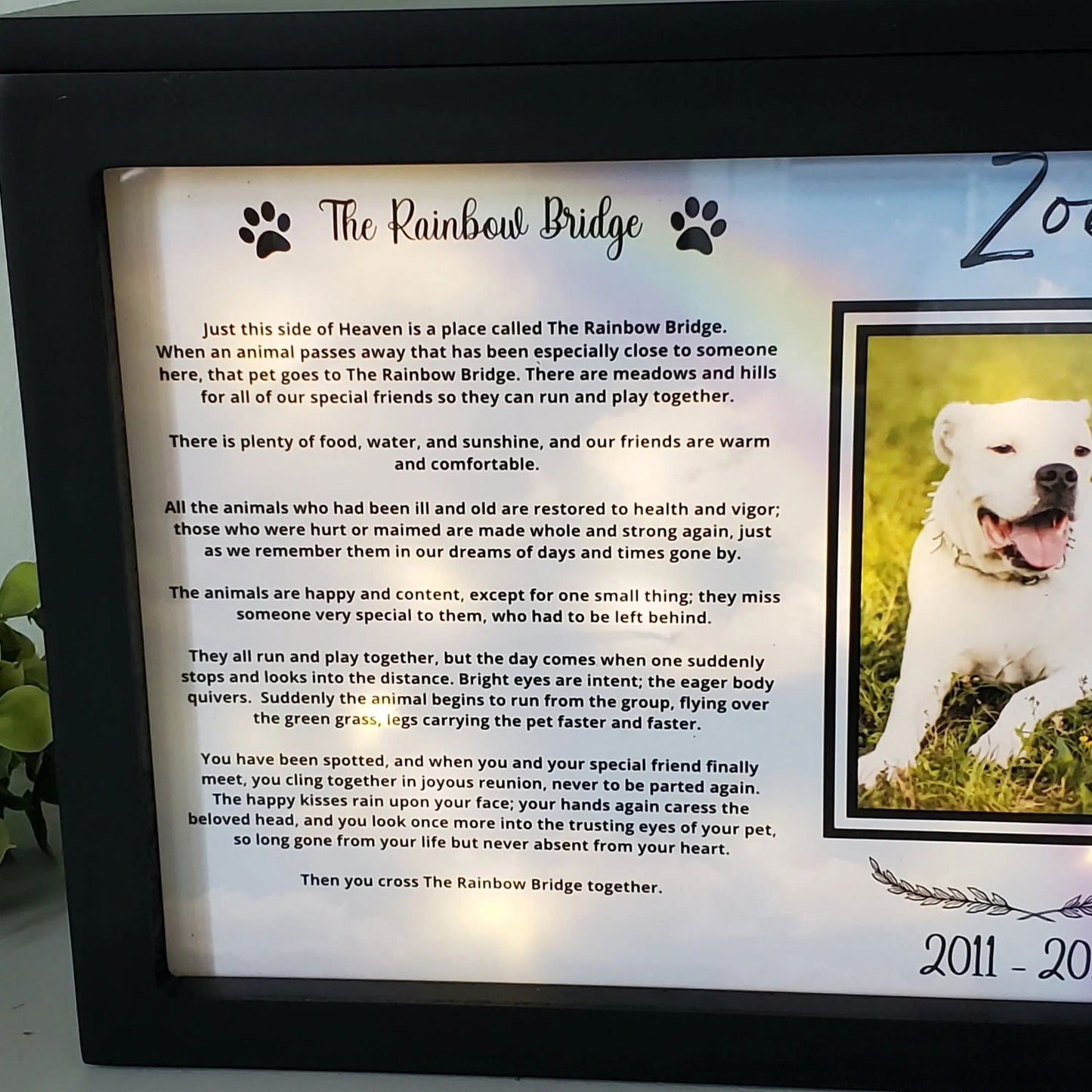 Large Dog Urn, Personalized pet urn for Large dogs, Pet Photo urn - Wags and Willows