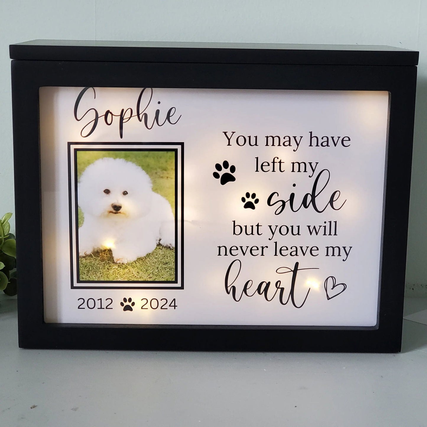 Large Dog Urn, Pet urn for large dogs, Cat urn, Pet urn for cats, pet memory box for ashes - Wags and Willows
