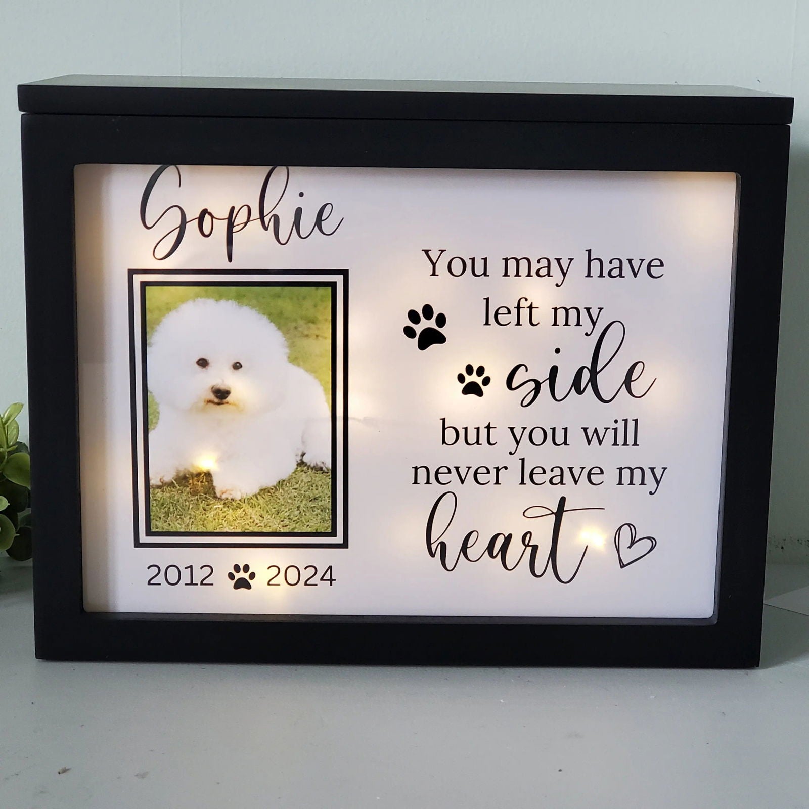 Large Dog Urn, Pet urn for large dogs, Cat urn, Pet urn for cats, pet memory box for ashes - Wags and Willows