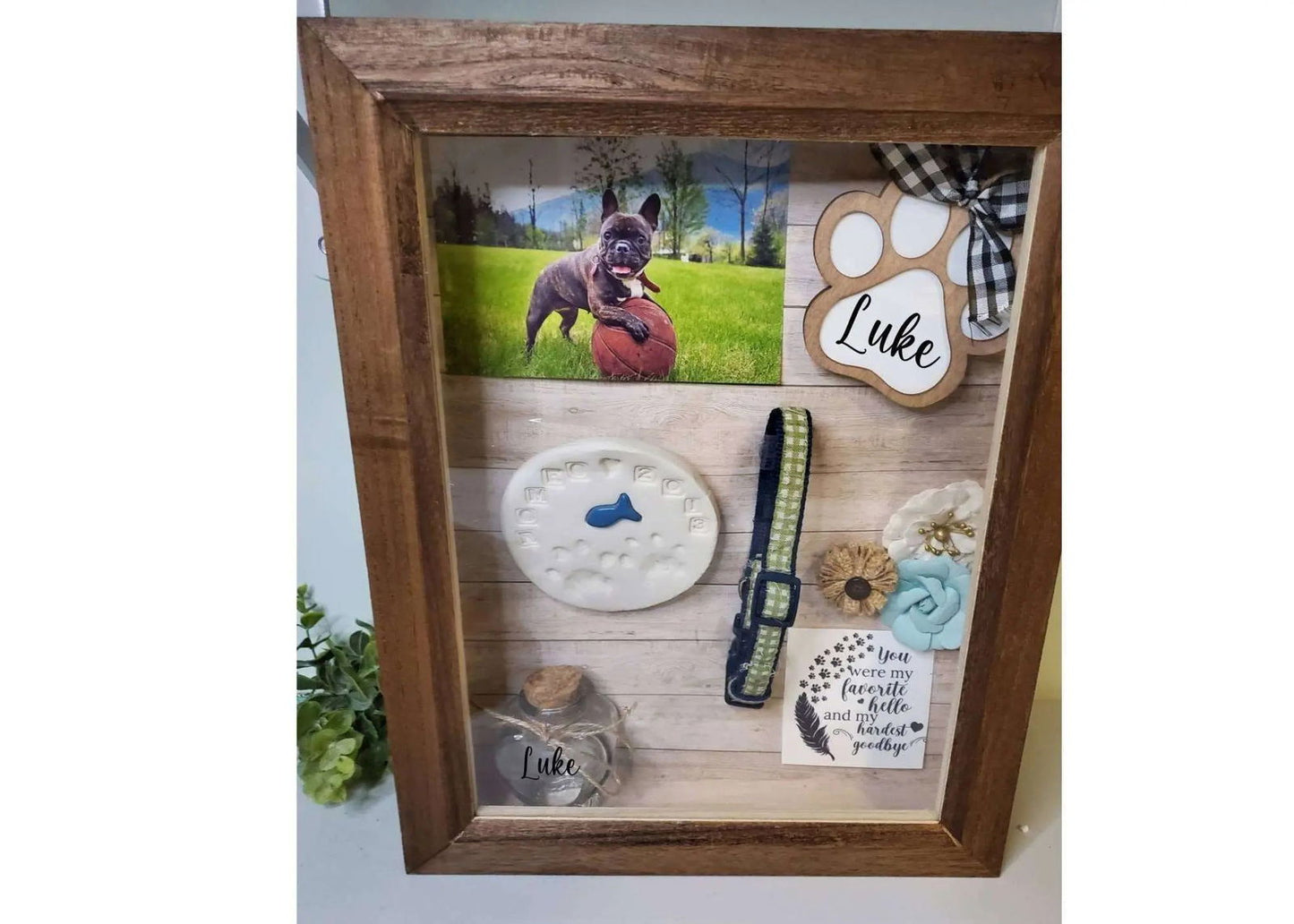 Large Pet Memorial Shadowbox - Wags and Willows