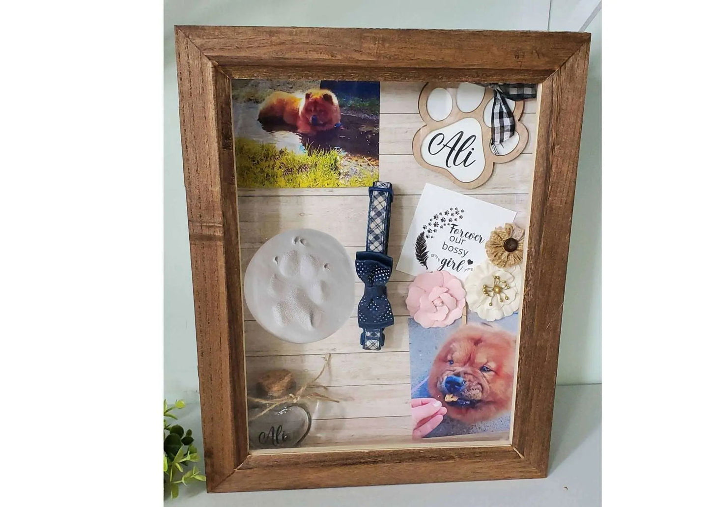 Large Pet Memorial Shadowbox - Wags and Willows