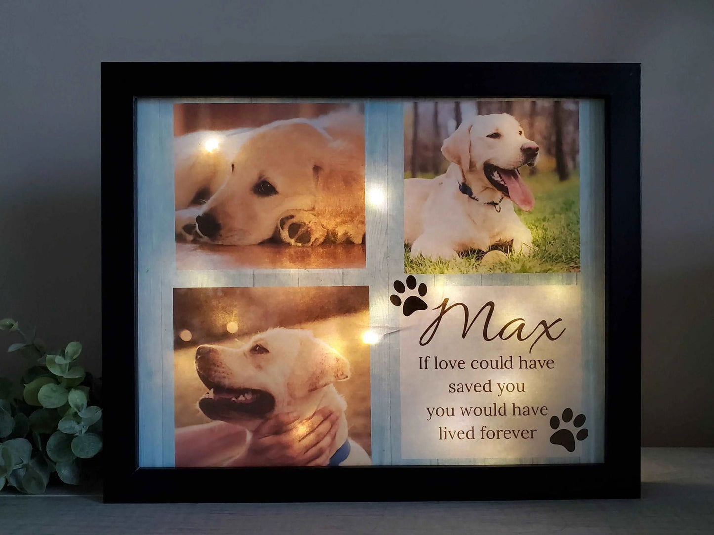 Lighted Pet memorial frame - Wags and Willows