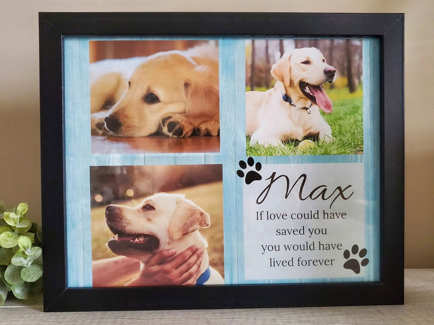 Lighted Pet memorial frame - Wags and Willows
