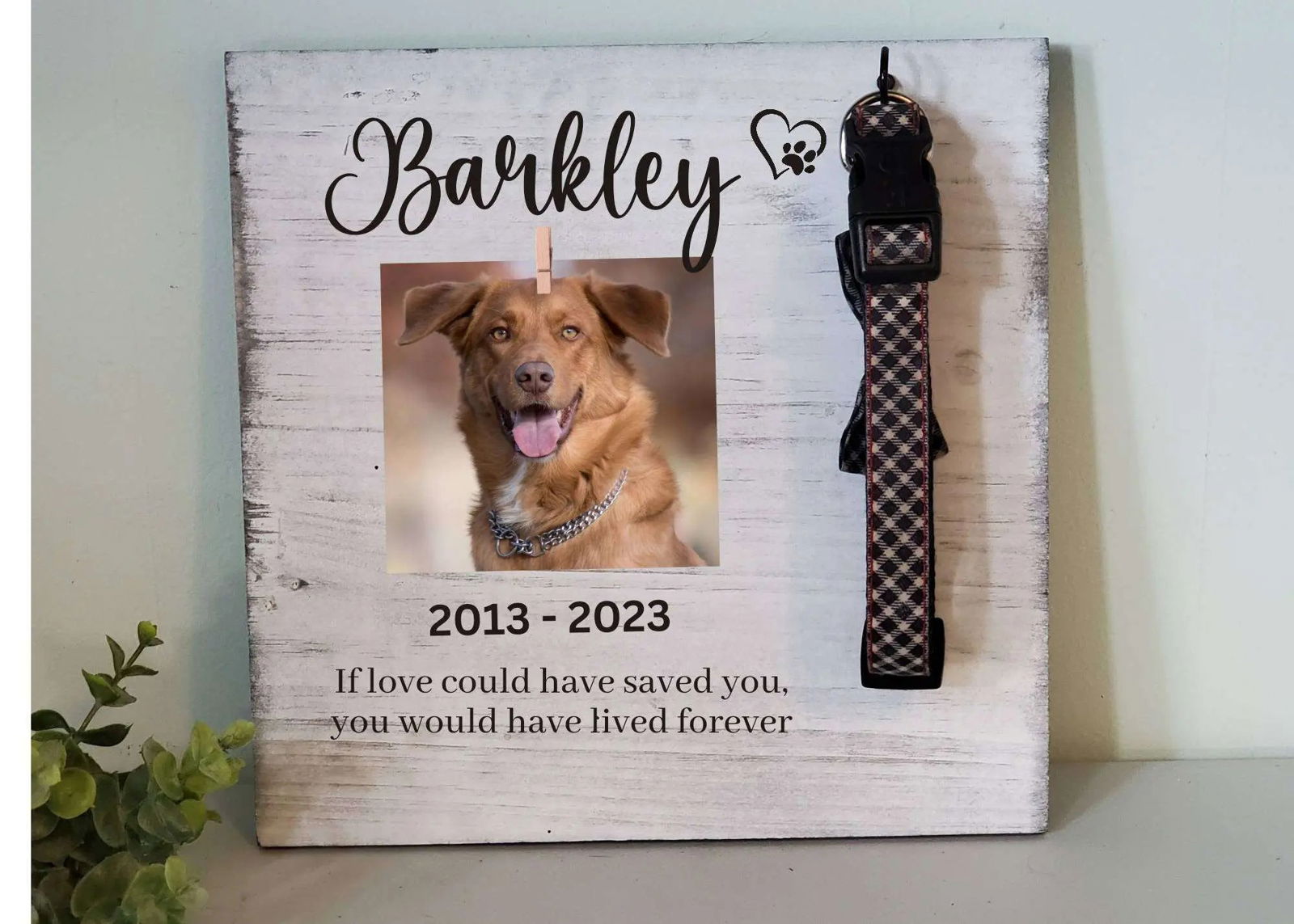 Personalized Dog Collar Memorial Frame - Wags and Willows