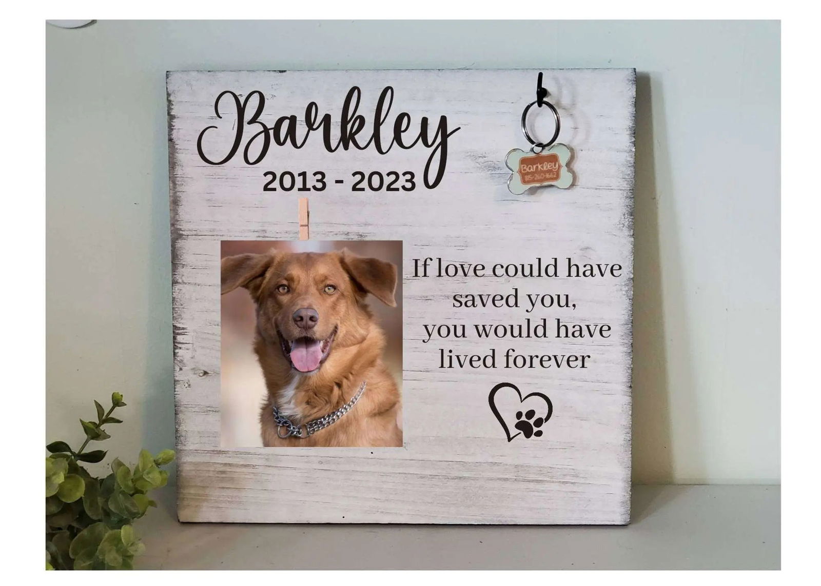 Personalized Dog Collar Memorial Frame - Wags and Willows