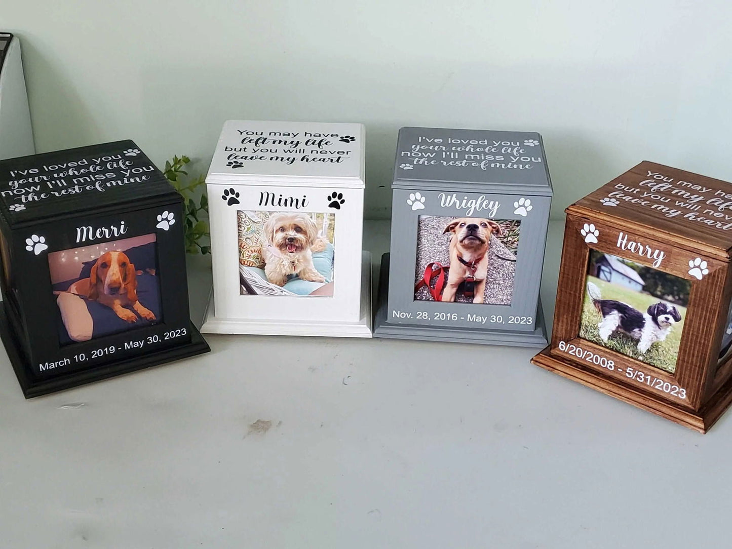 - Personalized Pet Urn - Personalized dog urn, Personalized Cat urn - Wags and Willows