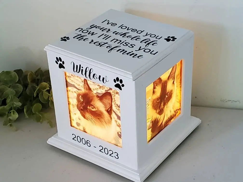 Personalized pet urn, Pet urn for cats, pet urns for small dogs, Cat urn, Small dog urn - Wags and Willows