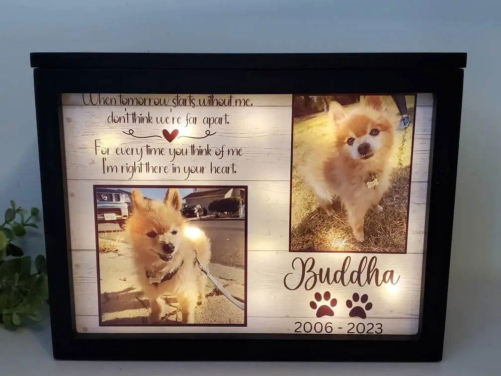Pet Cremation Urn for ashes, Pet urn for dogs, Pet urn for cats - Wags and Willows