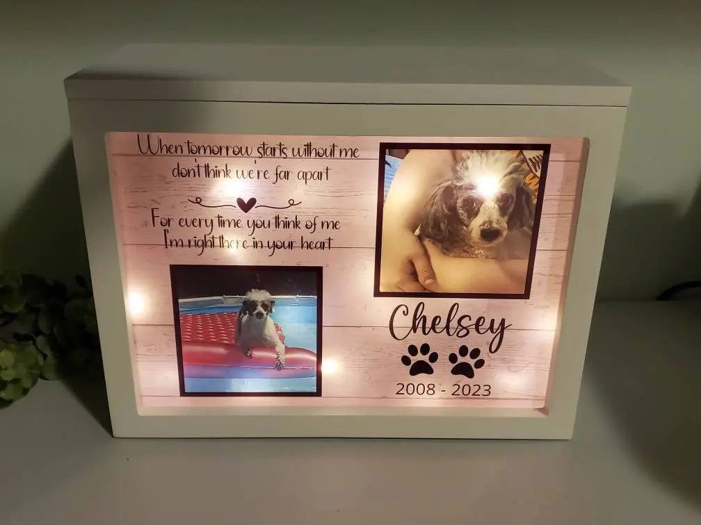 Pet Cremation Urn for ashes, Pet urn for dogs, Pet urn for cats - Wags and Willows