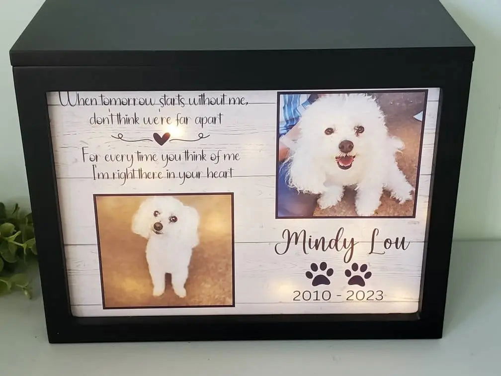 Pet Cremation Urn for ashes, Pet urn for dogs, Pet urn for cats - Wags and Willows