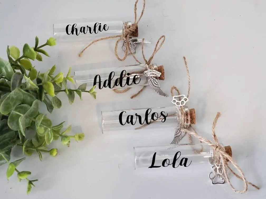 Pet Fur Keepsake Jar - Wags and Willows