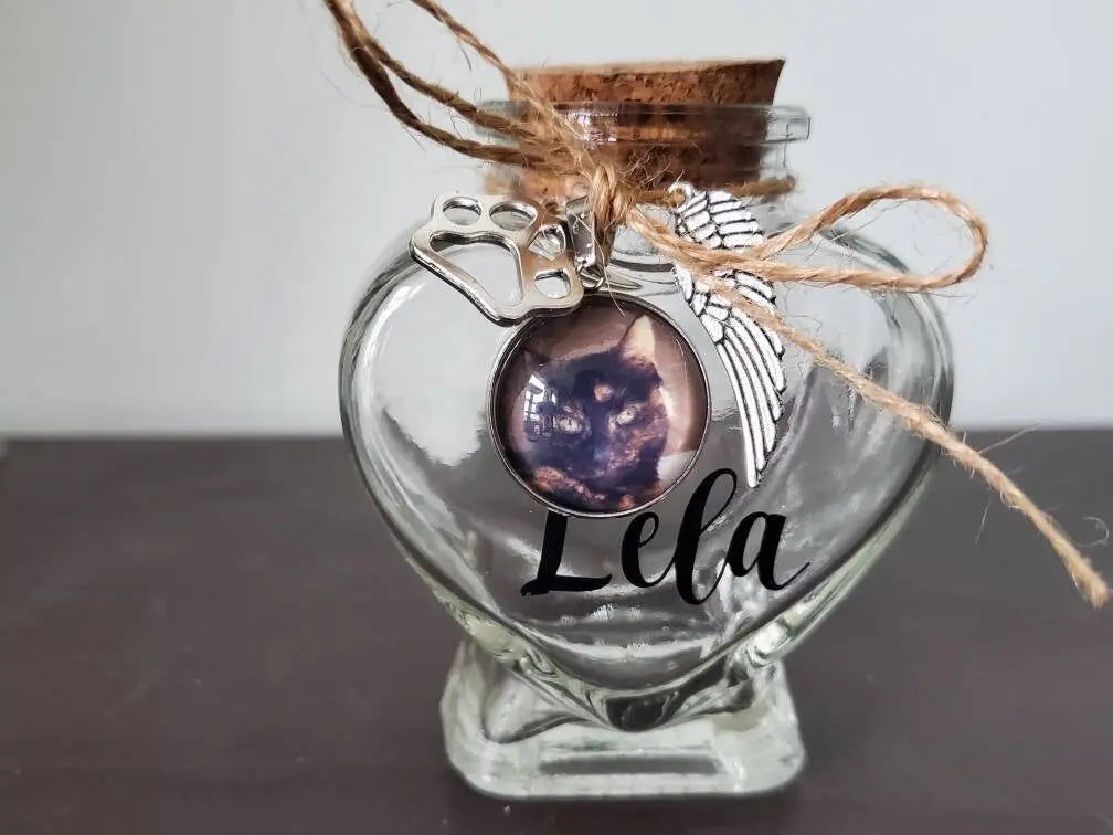 Pet Hair Keepsake Jar - Wags and Willows