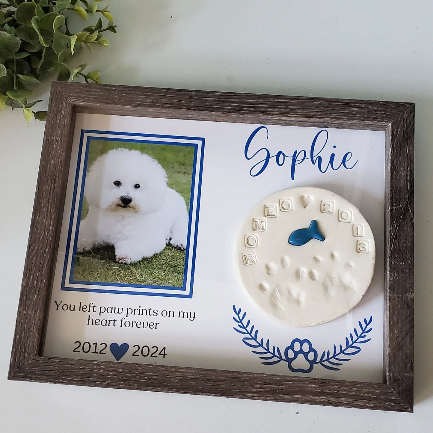 Pet Memorial Frame-Pet Memory box, Cat Memorial Frame - Wags and Willows