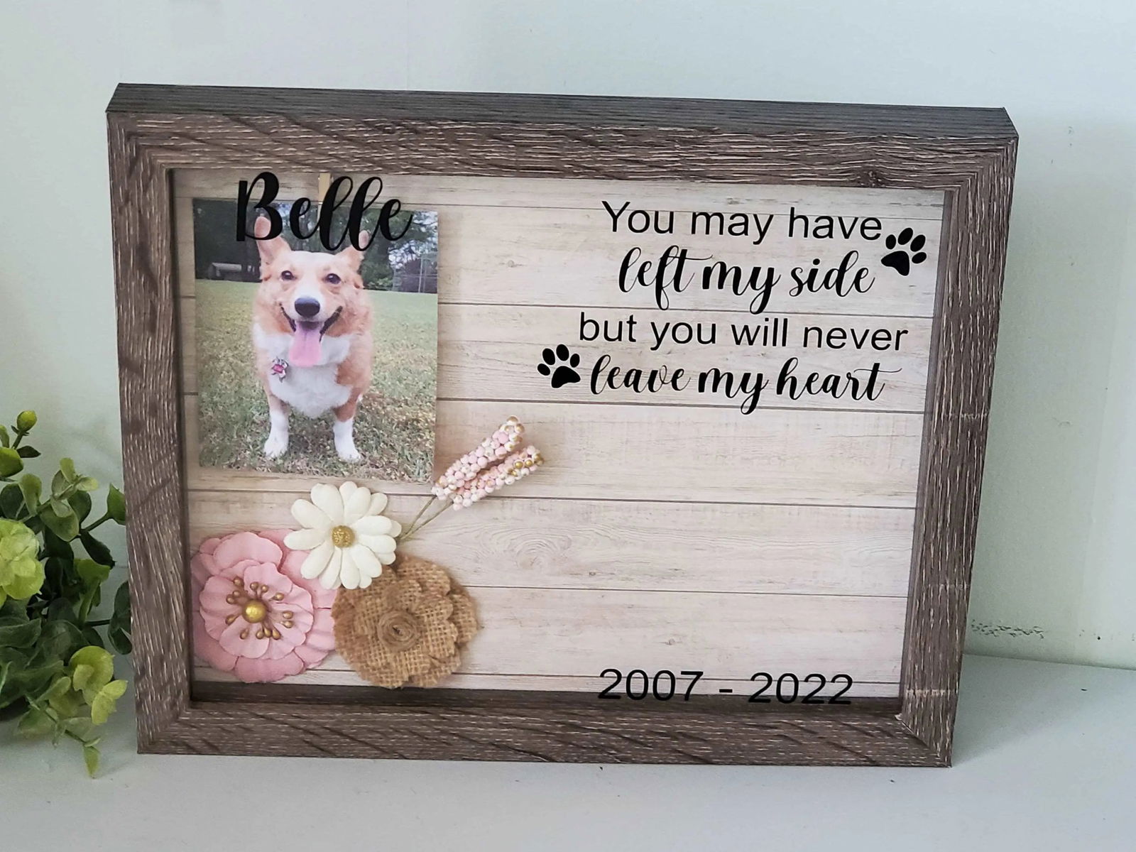 Pet Memorial Shadow box, Dog Memorial Frame, Paw Print Holder - Wags and Willows