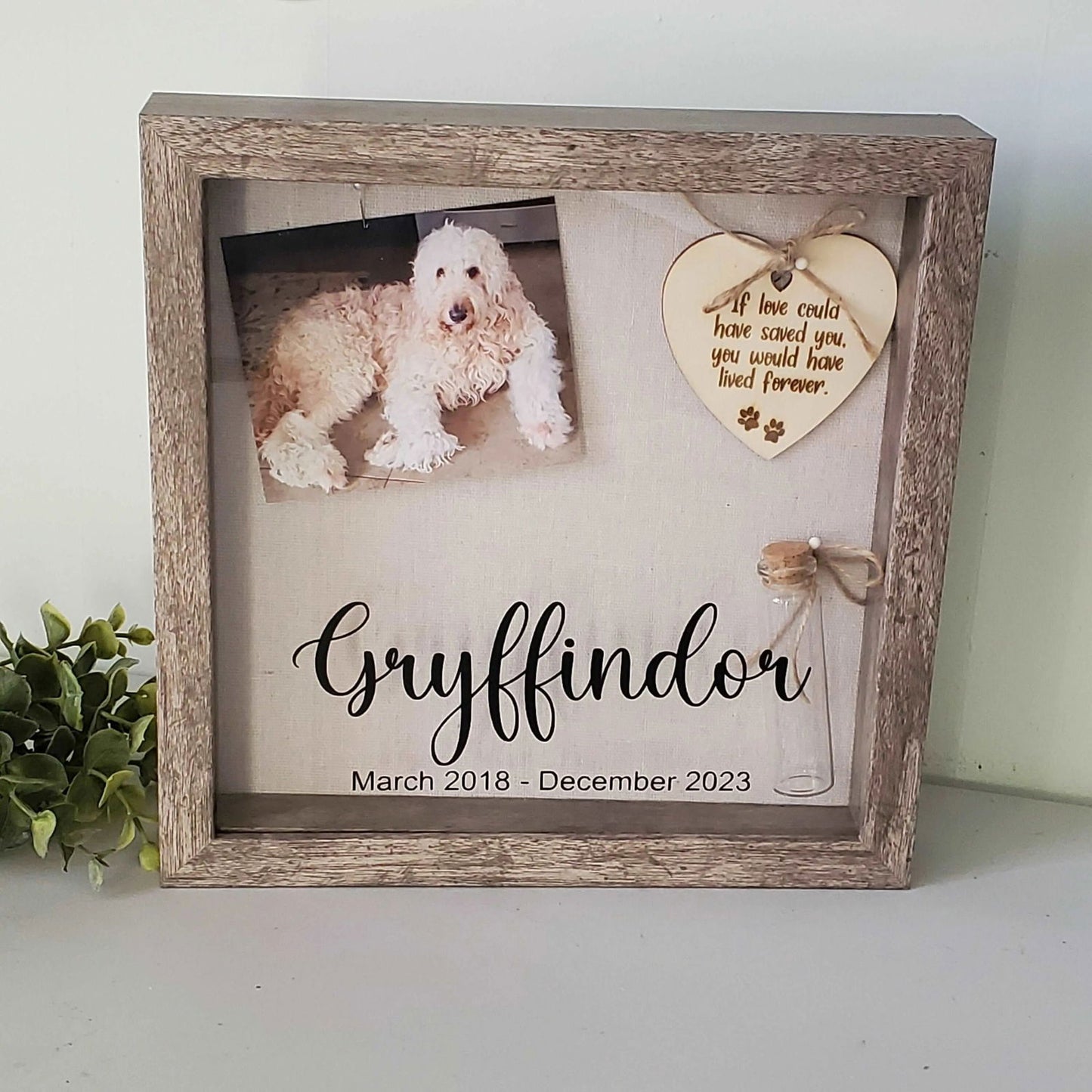 Pet Memorial Shadowbox-Cat Memorial frame, Dog memorial frame - Wags and Willows