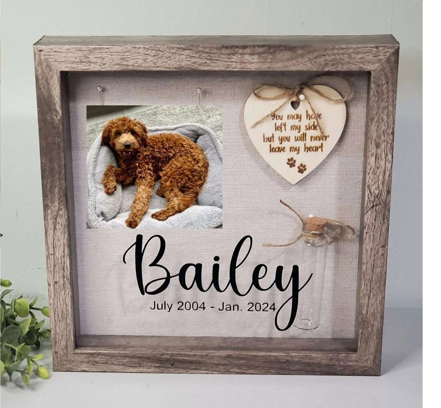 Pet Memorial Shadowbox-Cat Memorial frame, Dog memorial frame - Wags and Willows