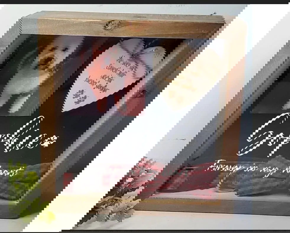 Pet Memorial Shadowbox-Memorial for dog, Memorial for cat - Wags and Willows