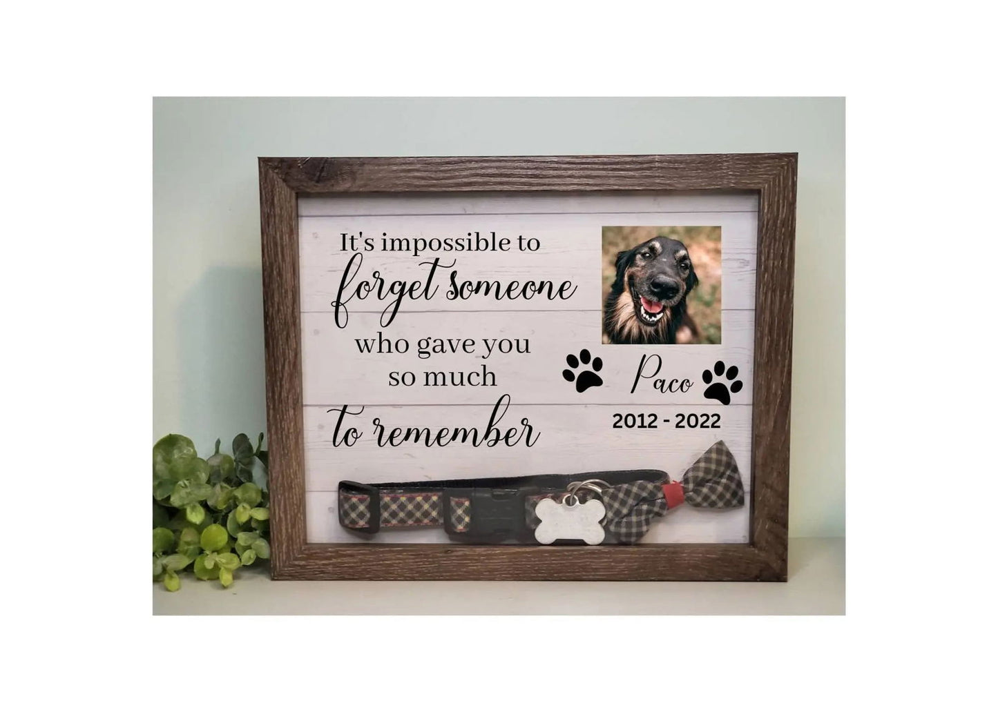 Pet Memorial Shadowbox - Wags and Willows