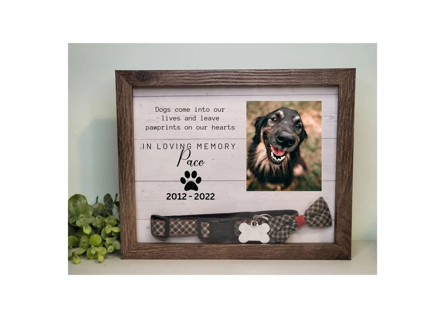 Pet Memorial Shadowbox - Wags and Willows