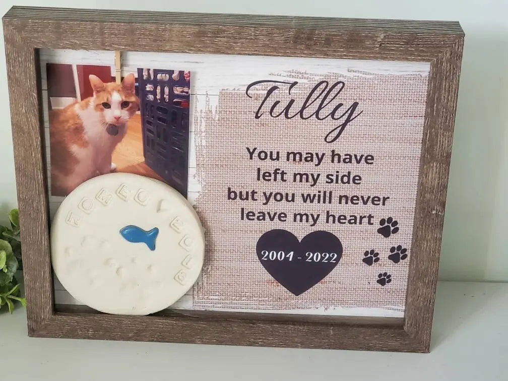 Pet Memorial Shadowbox - Wags and Willows