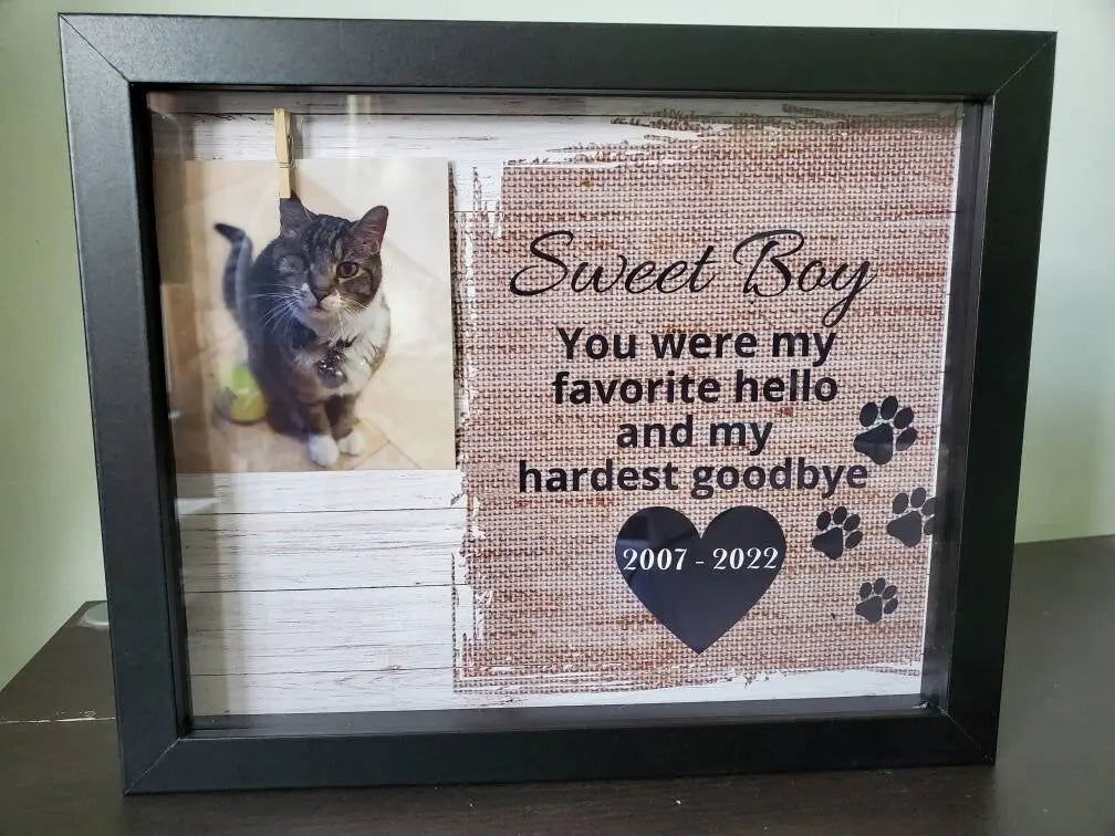 Pet Memorial Shadowbox - Wags and Willows