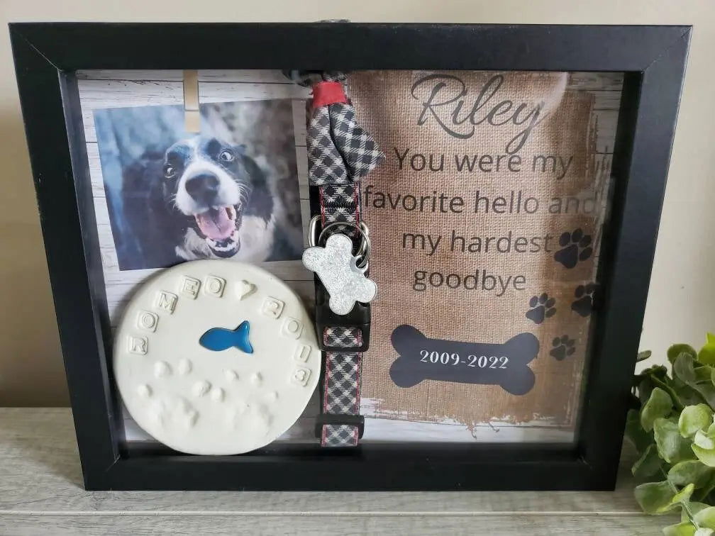 Pet Memorial Shadowbox - Wags and Willows