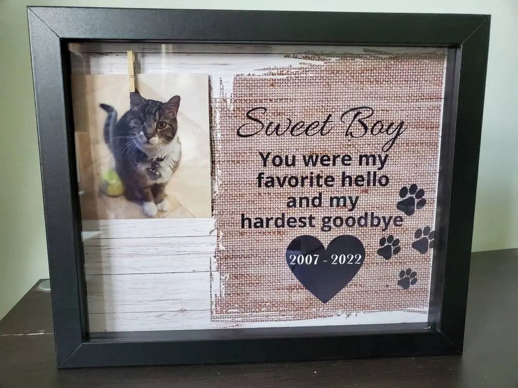 Pet Memorial Shadowbox - Wags and Willows