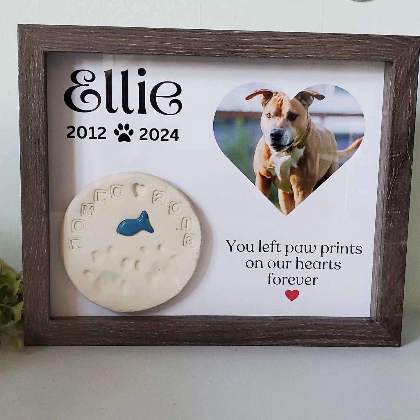 Pet Memorial Shadowbox - Wags and Willows