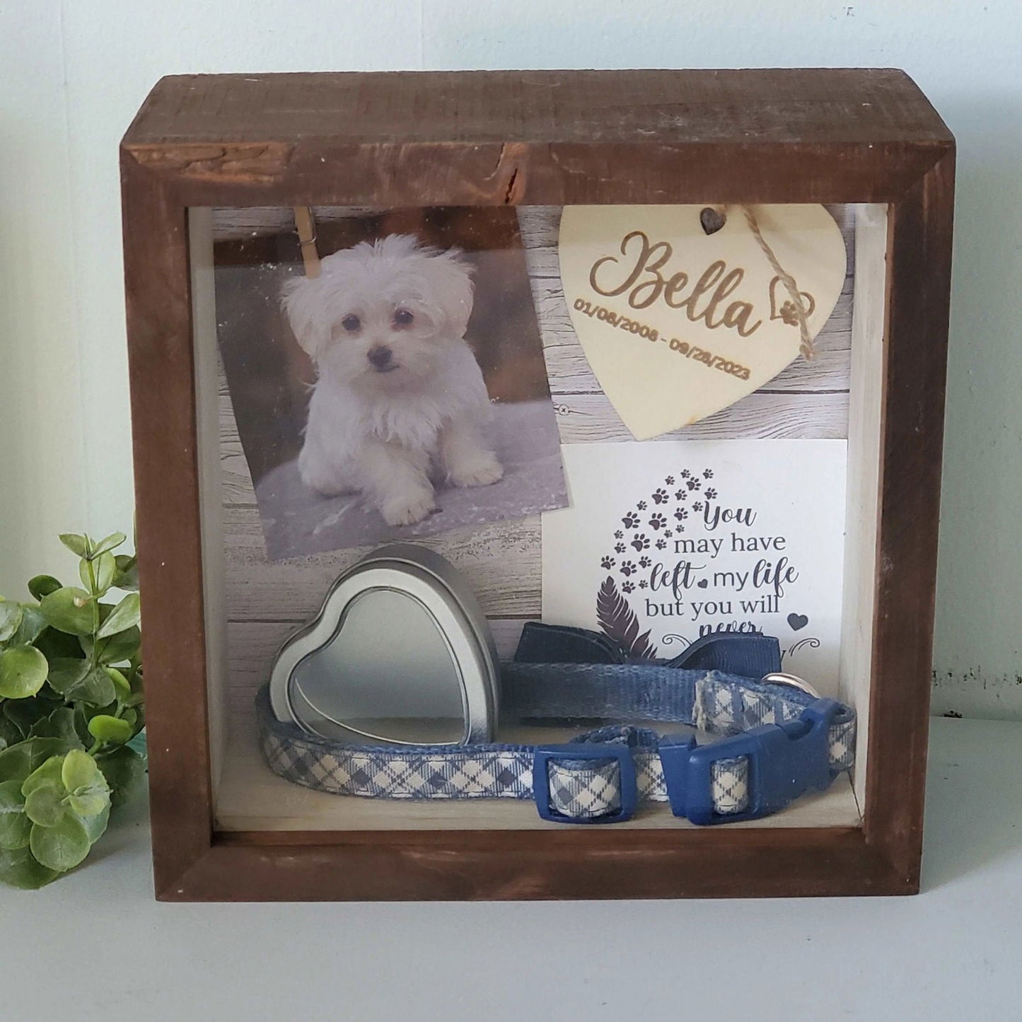 Pet Memorial Shadowbox, Pet Memorial Frame, Pet Memory Box, Dog Collar Memorial - Wags and Willows