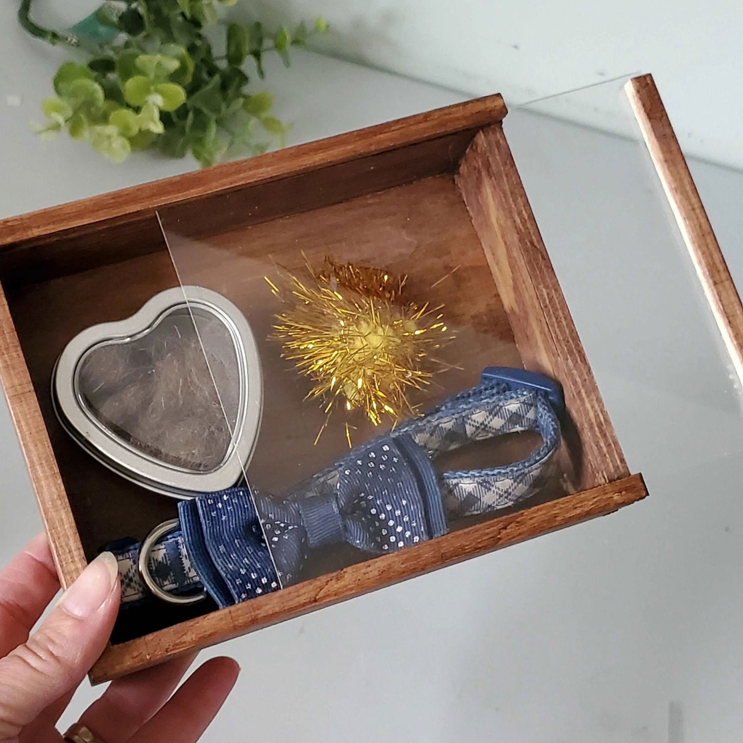 Pet Memorial Shadowbox, Pet Memory Box, Dog Collar Memorial - Wags and Willows