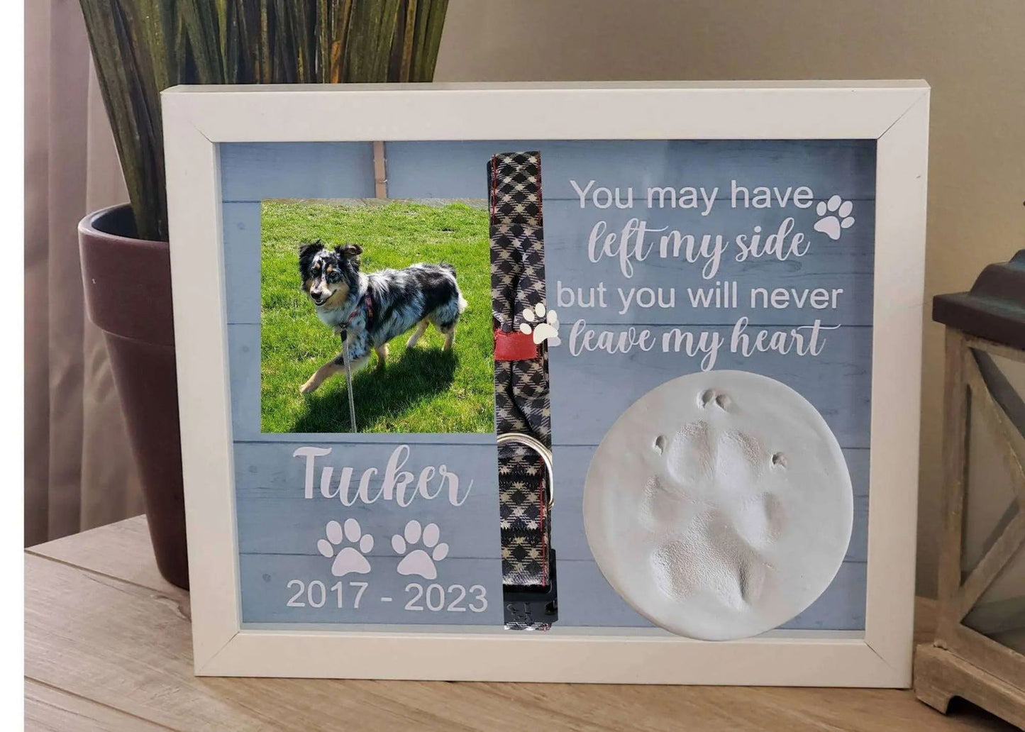 Pet Memorial Shadowbox, Pet Memory Box, Dog Collar Memorial, Pet Memorial Frame - Wags and Willows