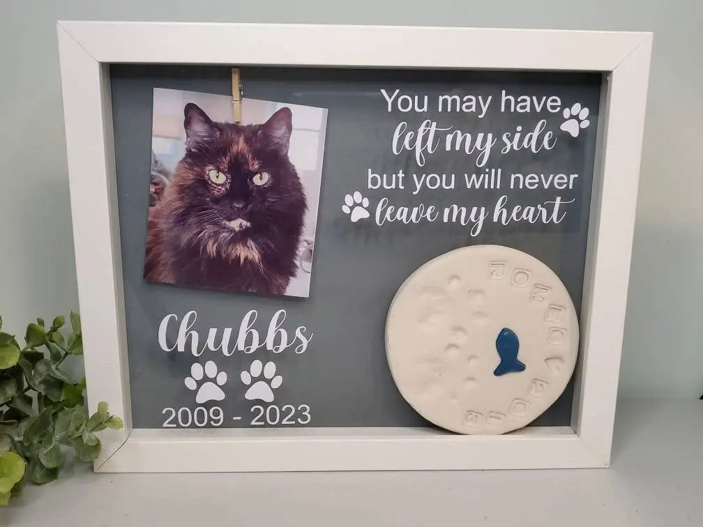 Pet Memorial Shadowbox, Pet Memory Box, Dog Collar Memorial, Pet Memorial Frame - Wags and Willows
