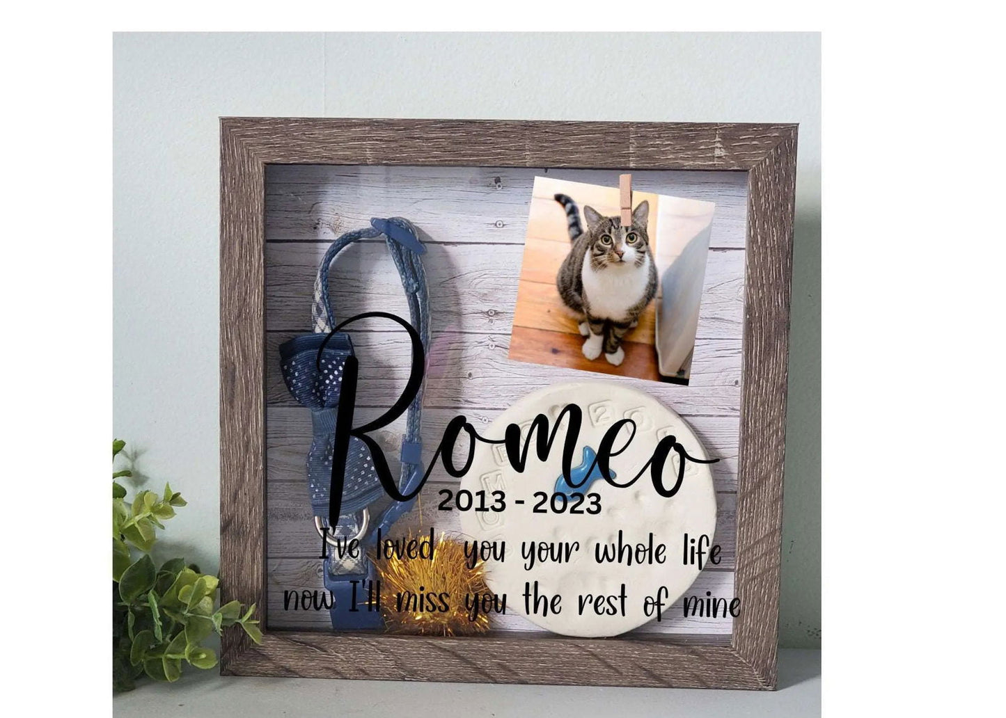 Pet Memorial Shadowbox for Cats and Dogs - Wags and Willows