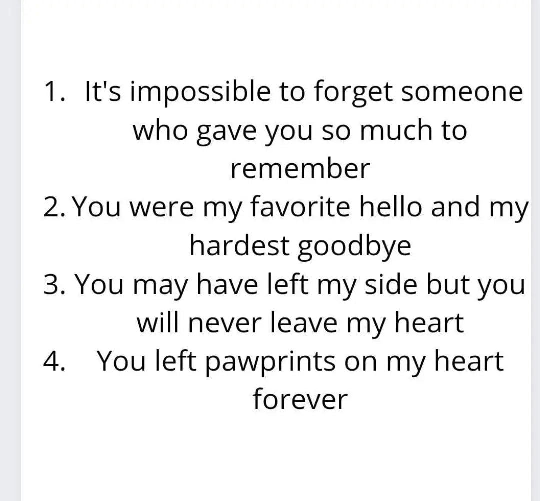 Pet Memorial frame for paw print - Wags and Willows