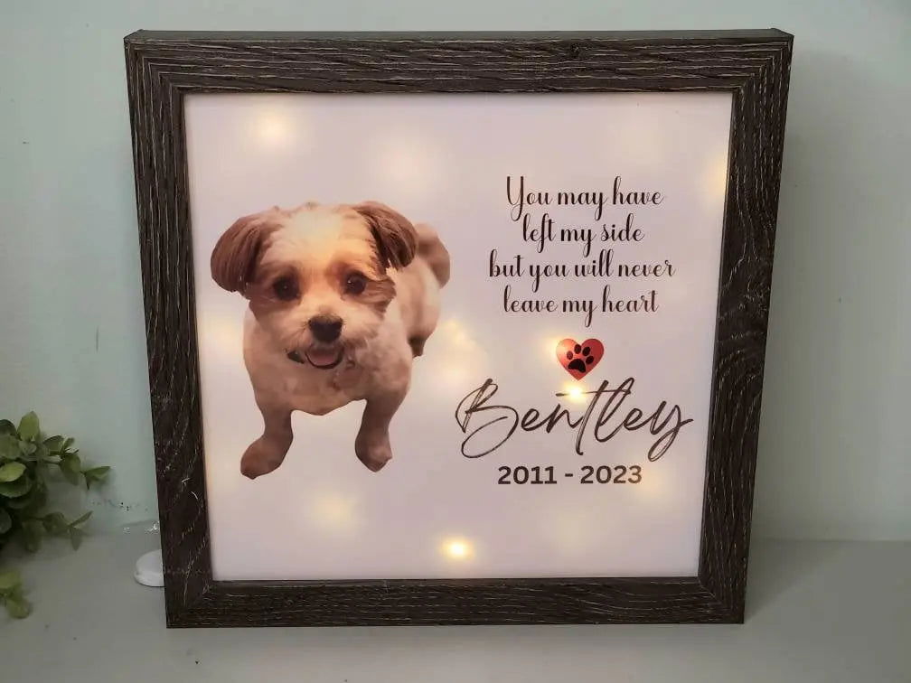 Pet Memorial gift, lighted Pet portrait memorial sketch,Dog Memorial , Cat Memorial, Loss of Pet Gift, Pet Sympathy Gift - Wags and Willows