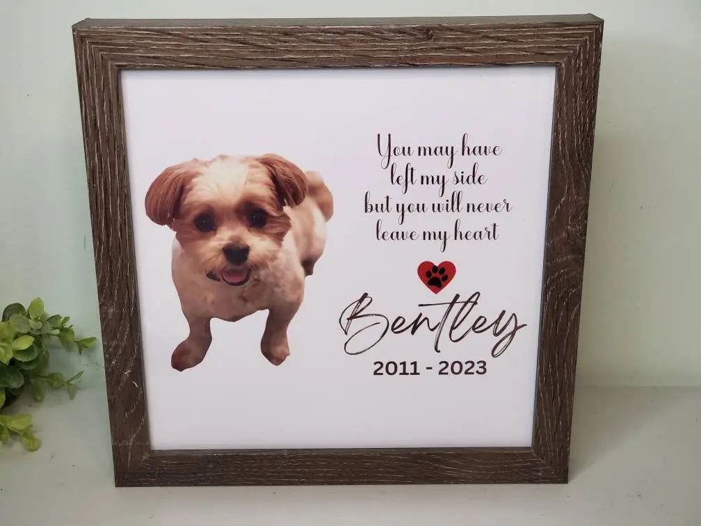 Pet Memorial gift, lighted Pet portrait memorial sketch,Dog Memorial , Cat Memorial, Loss of Pet Gift, Pet Sympathy Gift - Wags and Willows