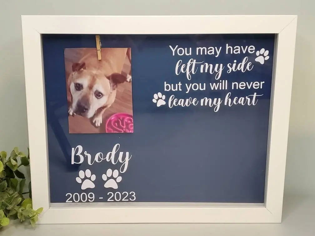 Pet Memorial shadowbox frame-Cat Memorial, Dog Memorial - Wags and Willows