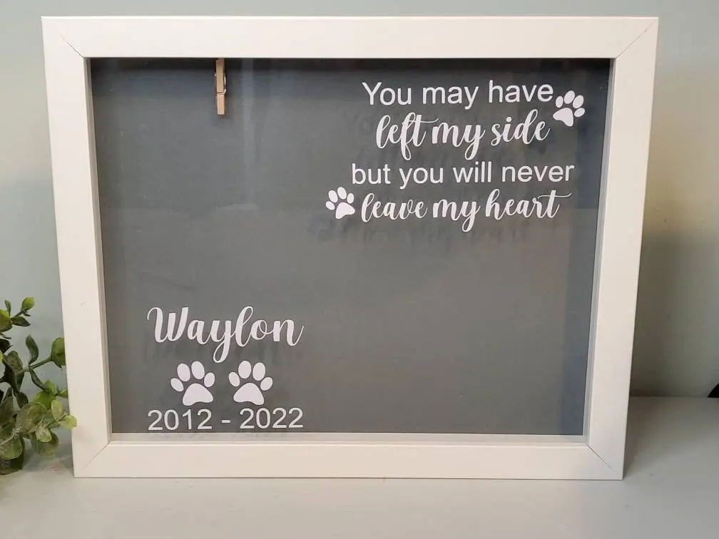 Pet Memorial shadowbox frame-Cat Memorial, Dog Memorial - Wags and Willows