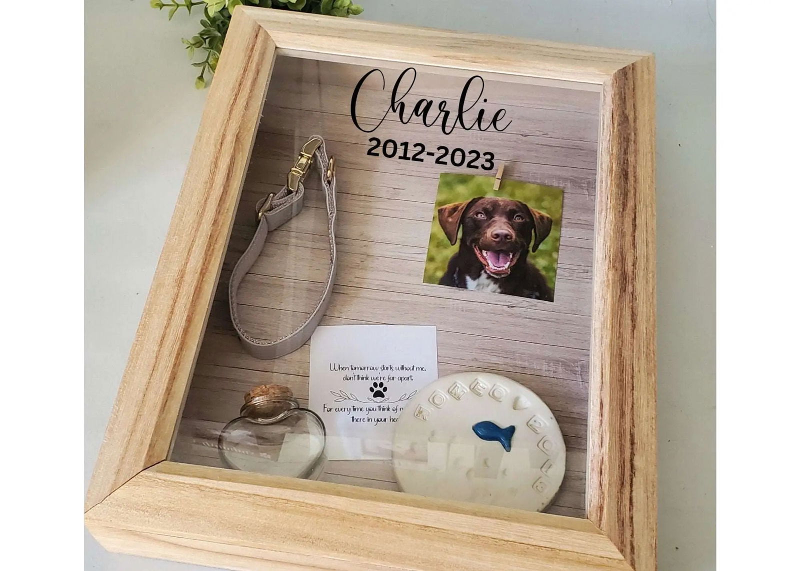 Pet Memory Box, Pet memorial Shadow box, Dog Memorial frame, cat memorial frame, paw print shadow box - Wags and Willows