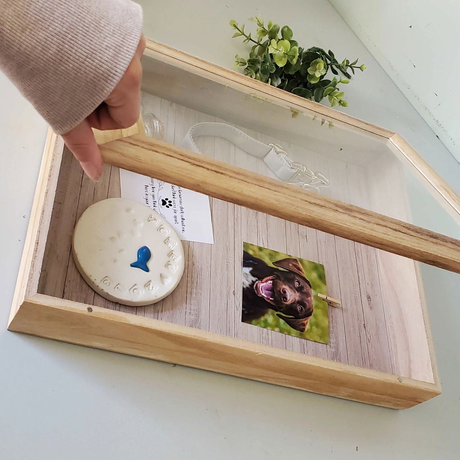 Pet Memory Box, Pet memorial Shadow box, Dog Memorial frame, cat memorial frame, paw print shadow box - Wags and Willows