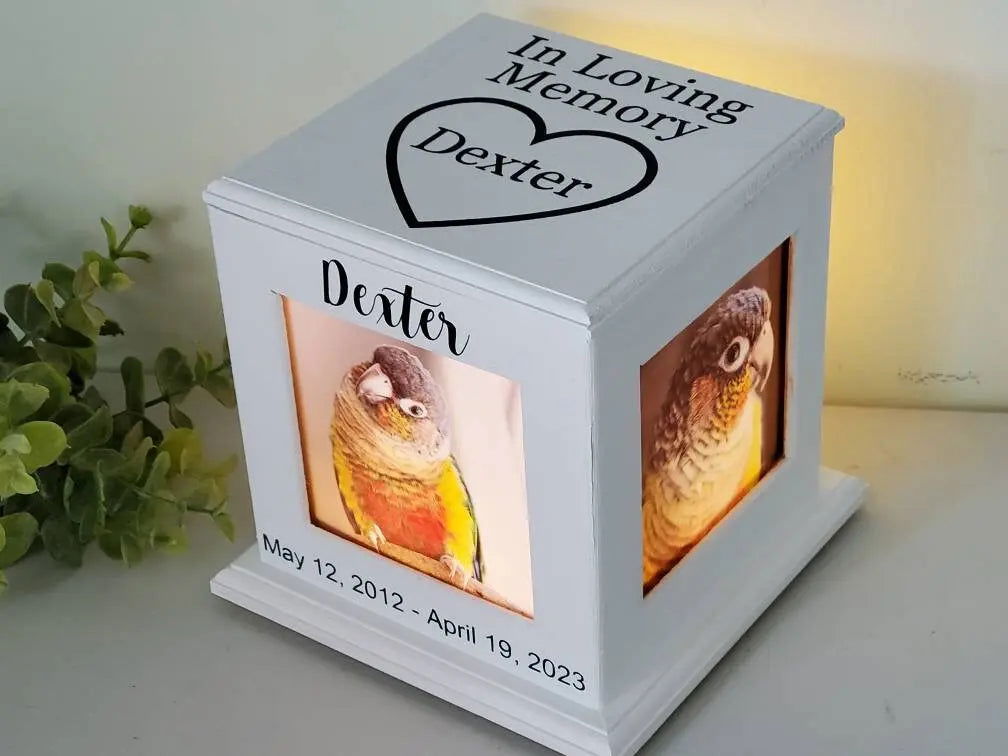 Pet Urn for birds, urn for birds, urn for small animals - Wags and Willows