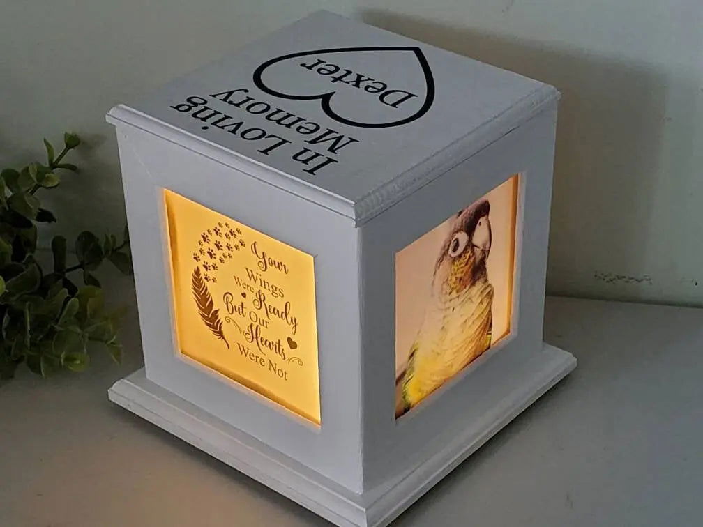 Pet Urn for birds, urn for birds, urn for small animals - Wags and Willows