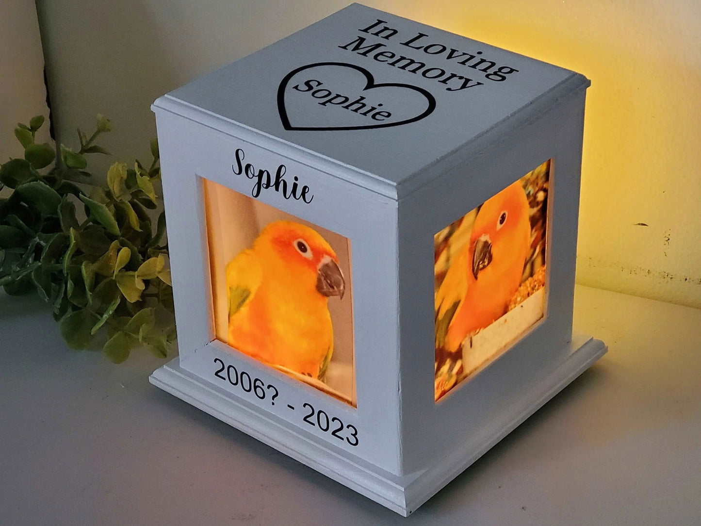 Pet Urn for birds, urn for birds, urn for small animals - Wags and Willows